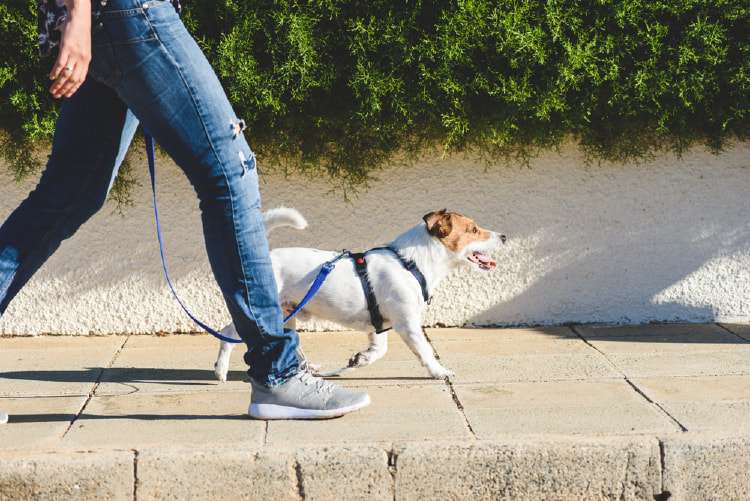 Cách tăng NEAT đơn giản trong cuộc sống hằng ngày